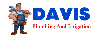 Trusted plumber in GUNTERSVILLE